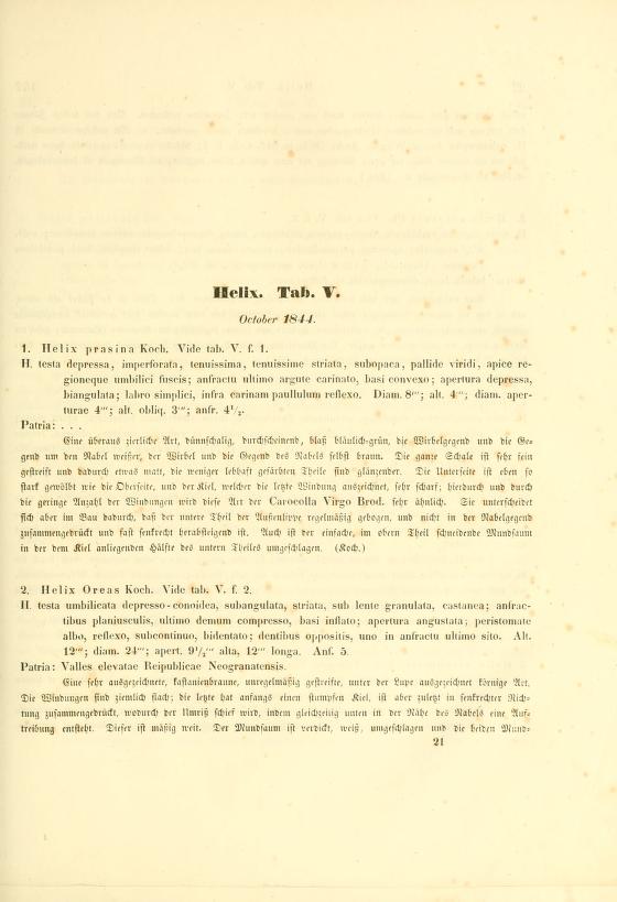 Media type: text; Philippi 1844 Description: Helix. Tab. V;